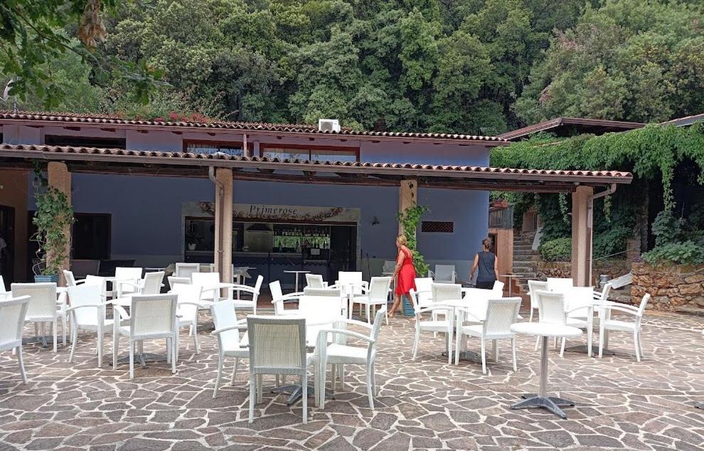 La Francesca Sud Un Villaggio"Glamping" Scario Eksteriør billede